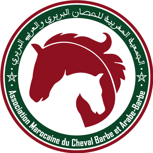 Association Marocaine du Cheval Barbe et Arabe Barbe
